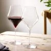 Set Of 2 Ballet Red Wine Glasses -Kitchen Supplies 30866749