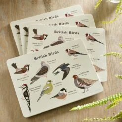 Set Of 4 Birds Placemats