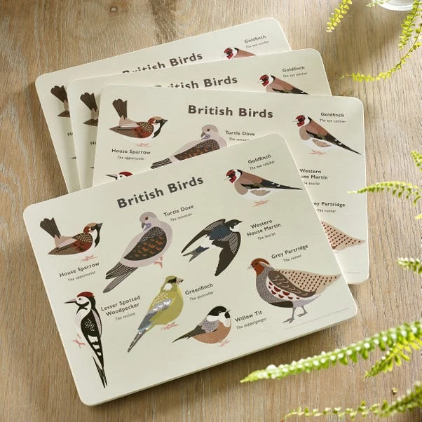 Set Of 4 Birds Placemats 3 Set Of 4 Birds Placemats