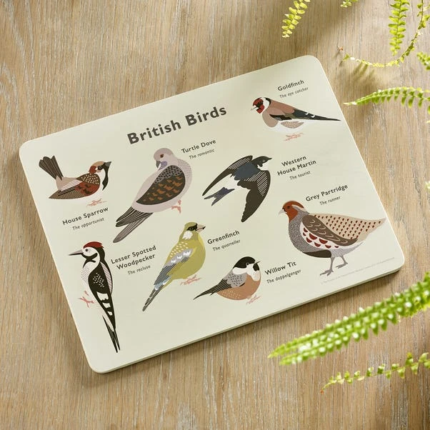 Set Of 4 Birds Placemats 4 Set Of 4 Birds Placemats - Image 2