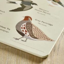 Set Of 4 Birds Placemats 9 Set Of 4 Birds Placemats -Kitchen Supplies 30922781 alt02