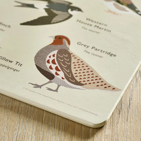 Set Of 4 Birds Placemats 5 Set Of 4 Birds Placemats - Image 3